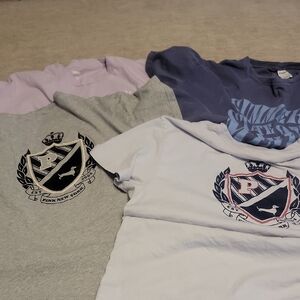 Pink VictoriaCrest Bundle Tee Shirts - Light Gray & Lilac, Blue, And 2 Grays